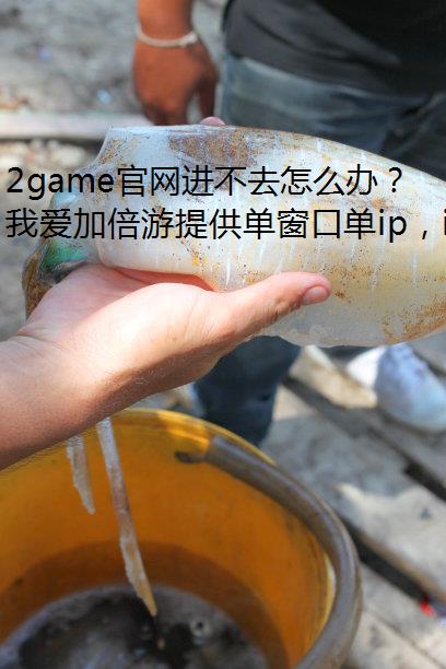 2gameȥô죿