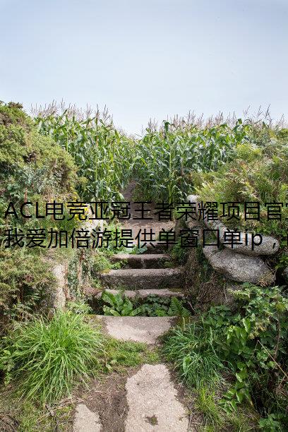 ACL羺ǹҫĿ:KPLսӻip,ھֱͨEWC羺籭