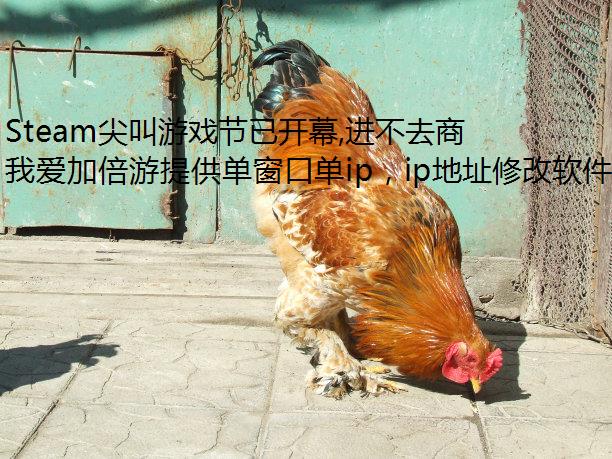 Steam尖叫游戏节已开幕,进不去商店可电脑切换ip用我爱加倍游! Steam尖叫游戏节已开幕,进不去商店可电脑切换ip用我爱加倍游!