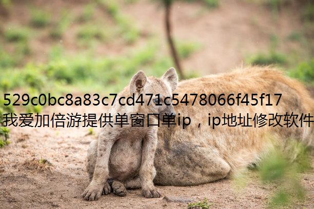 2024-IPַ2025ǿipָ