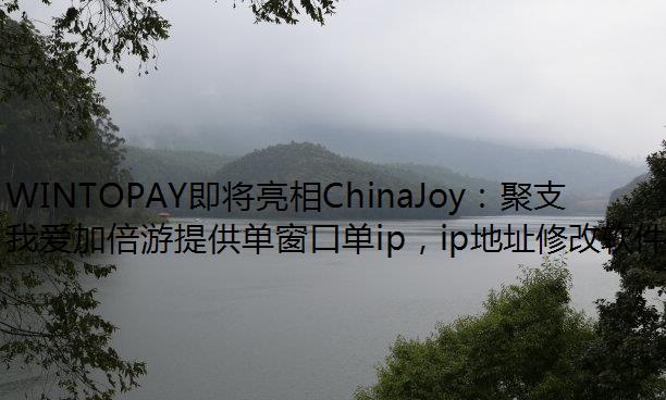 WINTOPAYChinaJoy֧̬֮
