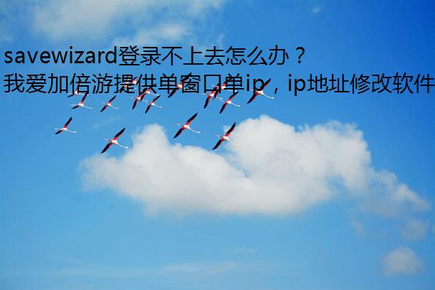 savewizard¼ȥô죿
