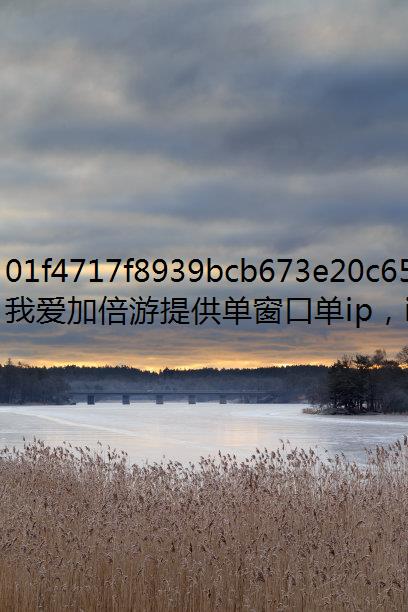 ϷIPIPַλøΪʲôIP?