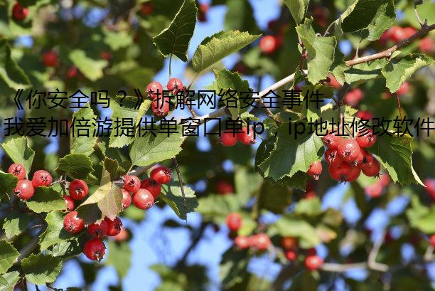 㰲ȫ𣿡簲ȫ¼⵳׷ⲿøĵľ磿