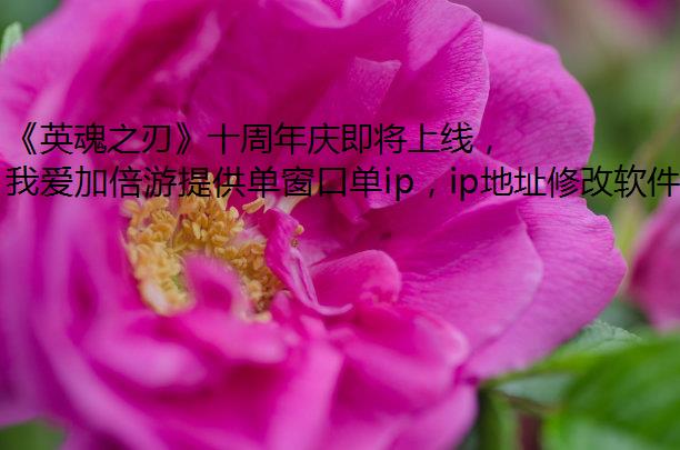 Ӣ֮Сʮ켴ߣ½