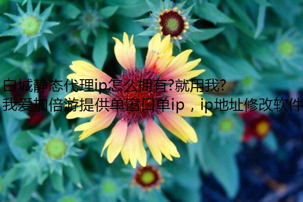 ׳Ǿ̬ipôӵ?ҰӱϷ࿪!