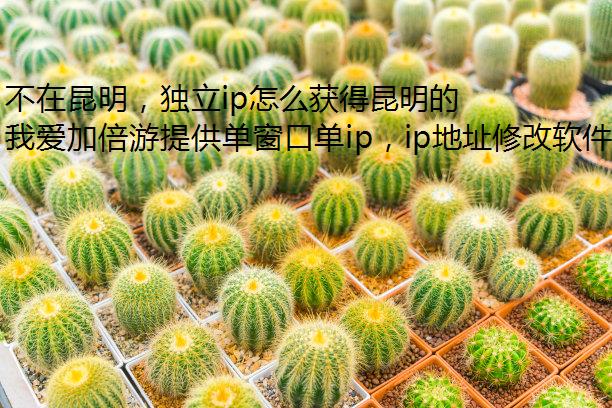 ipôľ̬磿