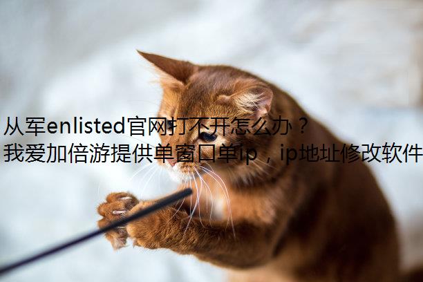 Ӿenlisted򲻿ô죿