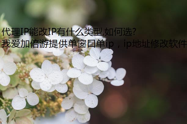 IPܸIPʲô,ѡʺԼĴIP
