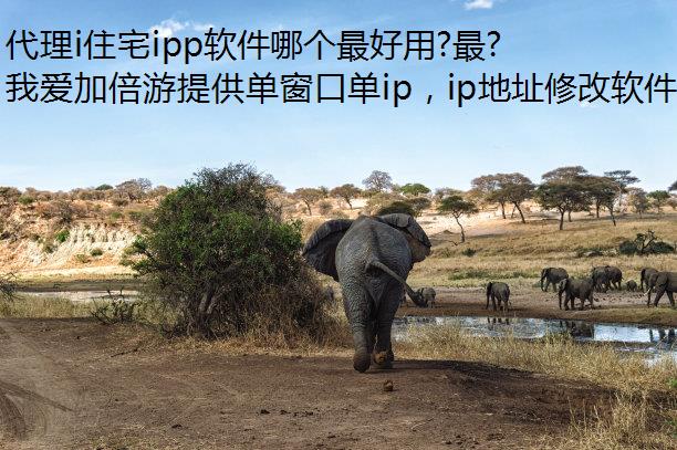iסլippĸ?õĴipļ?