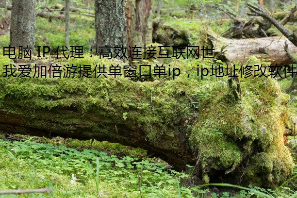  IP Чӻ