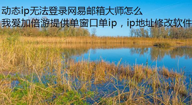 ̬ip޷¼ʦô?