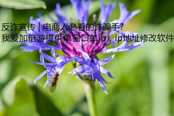 թ | ˱ؿթƭַ֮żꡱ