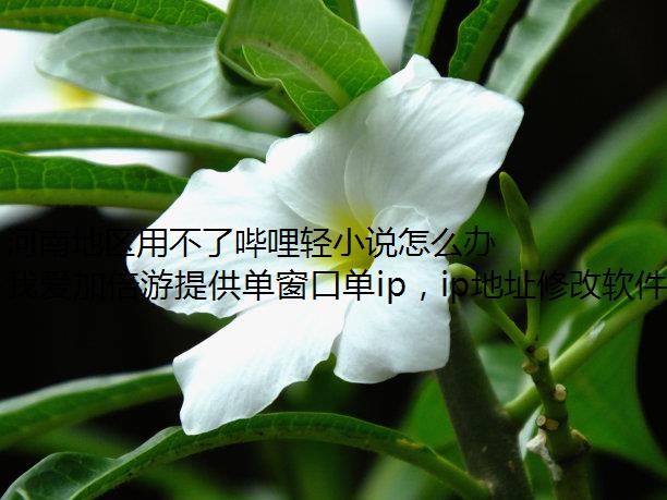 ϵòС˵ô죿