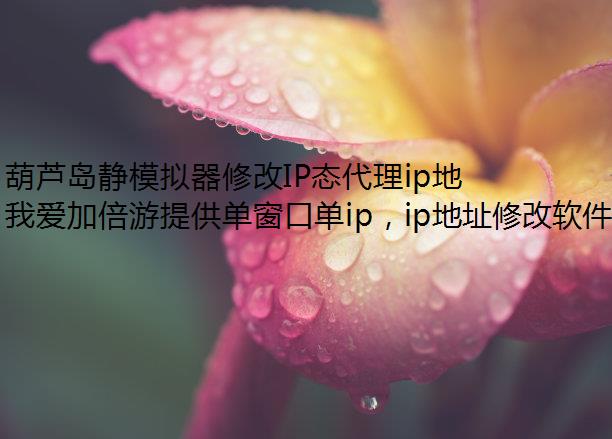 «ģ޸IP̬ipַ,Ұӱοɻȡ!