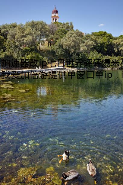 ip鱬׻ȡԽ