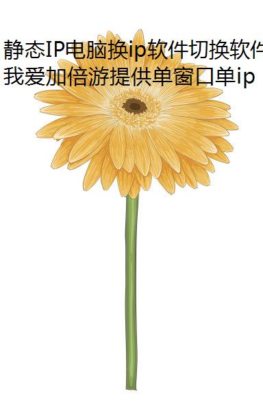 ̬IPԻipлĸ?ҵɿ?