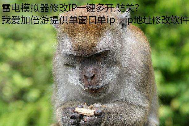 ׵ģ޸IPһ࿪,ָ:˺Ź