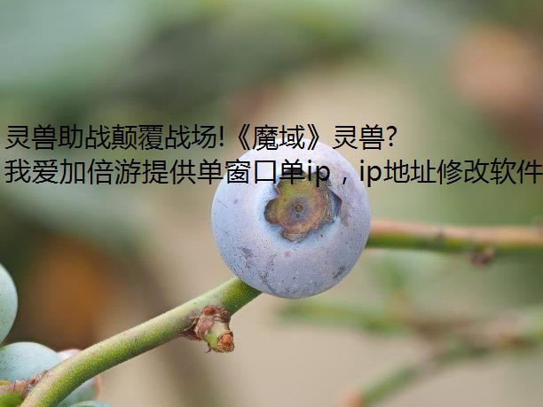 灵兽助战颠覆战场!《魔域》灵兽玩法首爆 预约赢华为+电脑换ip软件周大福 灵兽助战颠覆战场!《魔域》灵兽玩法首爆 预约赢华为+电脑换ip软件周大福