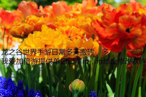 ֮ճ࿪ש࿪ש⼼