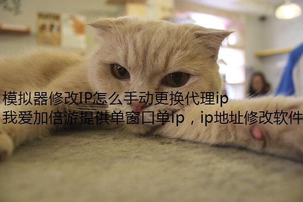 ģ޸IPôֶipַ