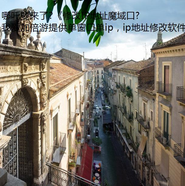 ߸Ҫ?޸IPַħڴ桷»ޱ