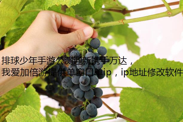 ιӭЯipھ山ȸУЭͬȼ!