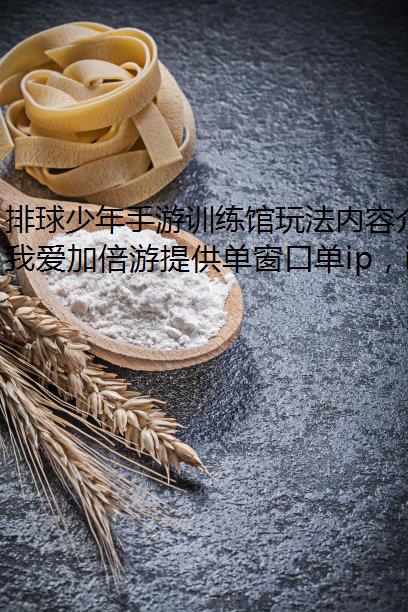 ѵ淨ݽ
