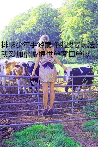 ۷ս淨