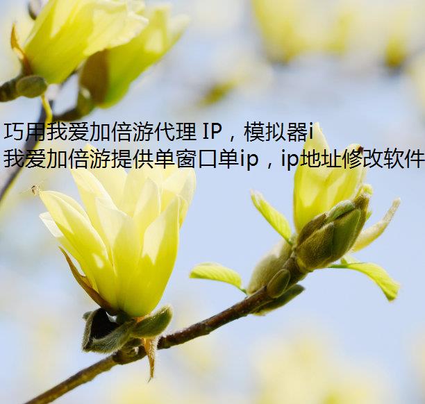 Ұӱδ IPģipջȫȶ