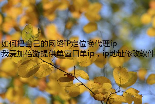 ΰԼIPλipͬط
