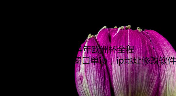 ںۿ2024ŷޱȫ̻طţ