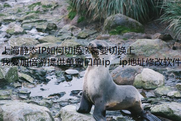 Ϻ̬IPлҪлϺIPβ