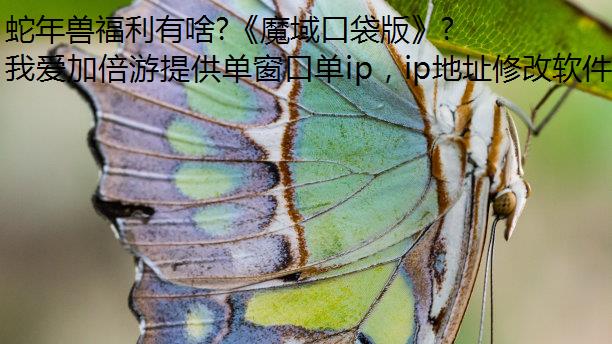 ޸ɶ?ħڴ桷׵ģ޸IP!