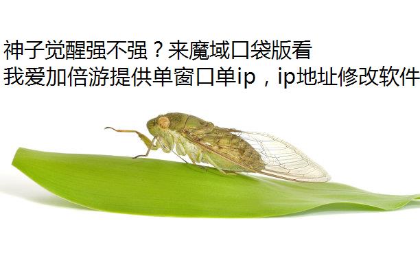 Ӿǿǿħڴ濴֪ˣ