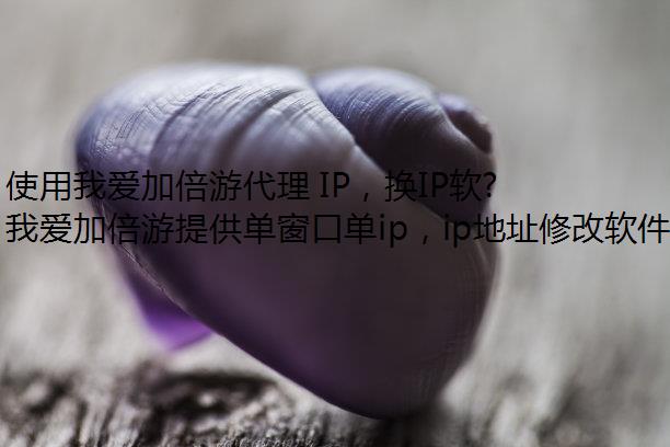 ʹҰӱδ IPIP򵥵лɽ IP ַ
