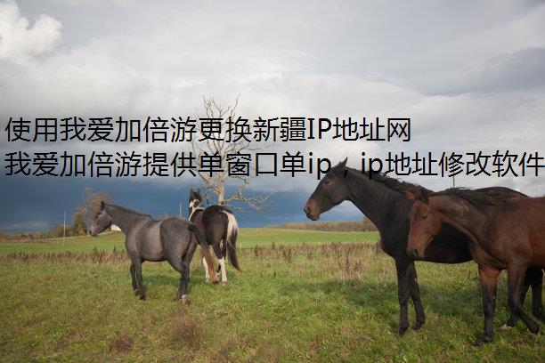 ʹҰӱθ½IPַμָ