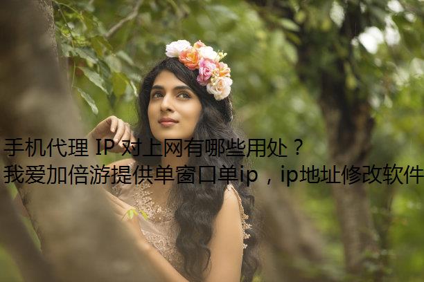 ֻ IP Щô
