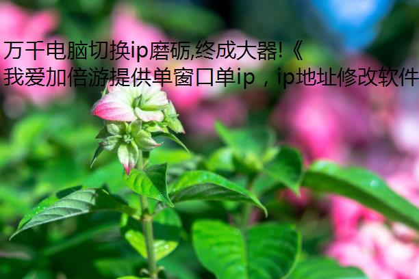 ǧлipĥ,ճɴ!١չ!