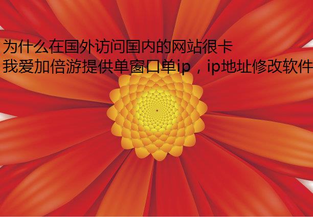 Ϊʲôڹʹڵվܿ