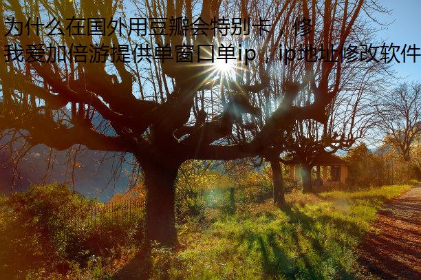 Ϊʲôڹöر𿨣޸IPַ򲻿