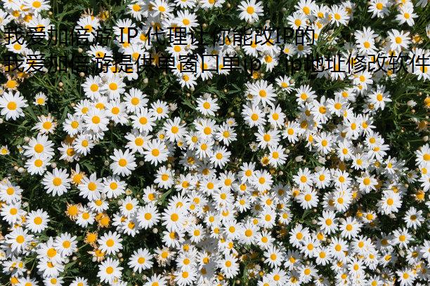 Ұӱ IP ܸIP糩