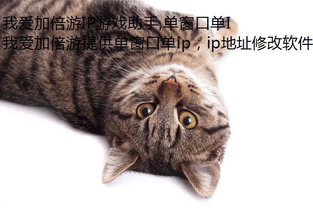 ҰӱIPϷ,ڵIP,Ϸרip