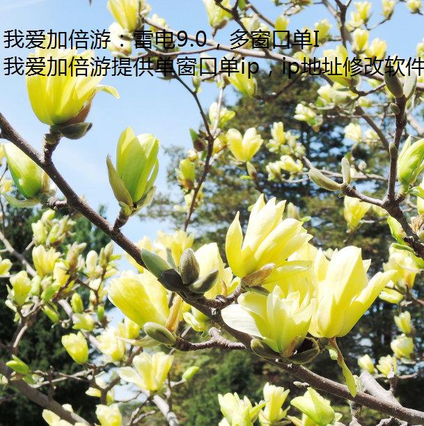 ҰӱΣ׵9.0രڵIP
