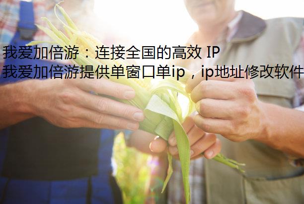 ҰӱΣȫĸЧ IP 