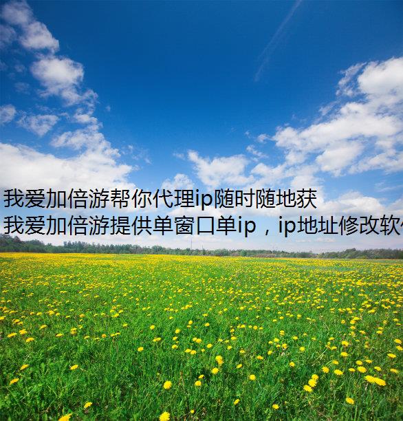 Ұӱΰipʱػù IP ַ
