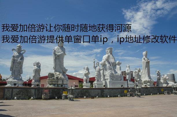 ҰӱʱػúԴ IP ַ