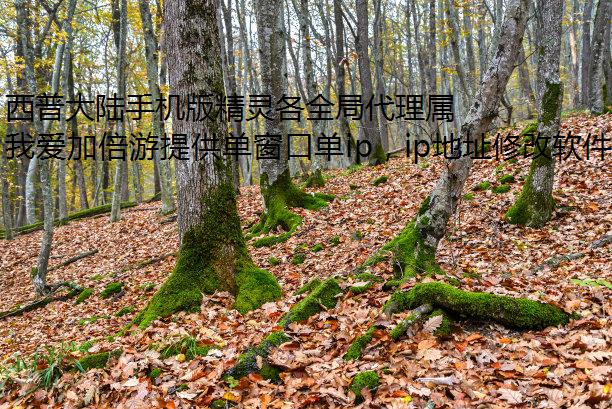 մ½ֻ澫ȫִЧһ