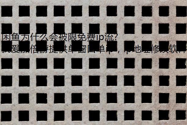 Ϊʲôᱻip?