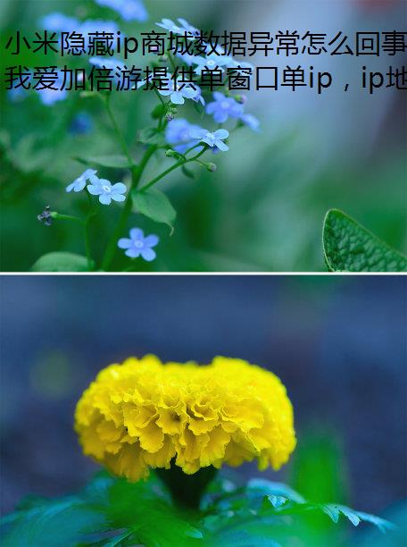 Сip̳쳣ô?